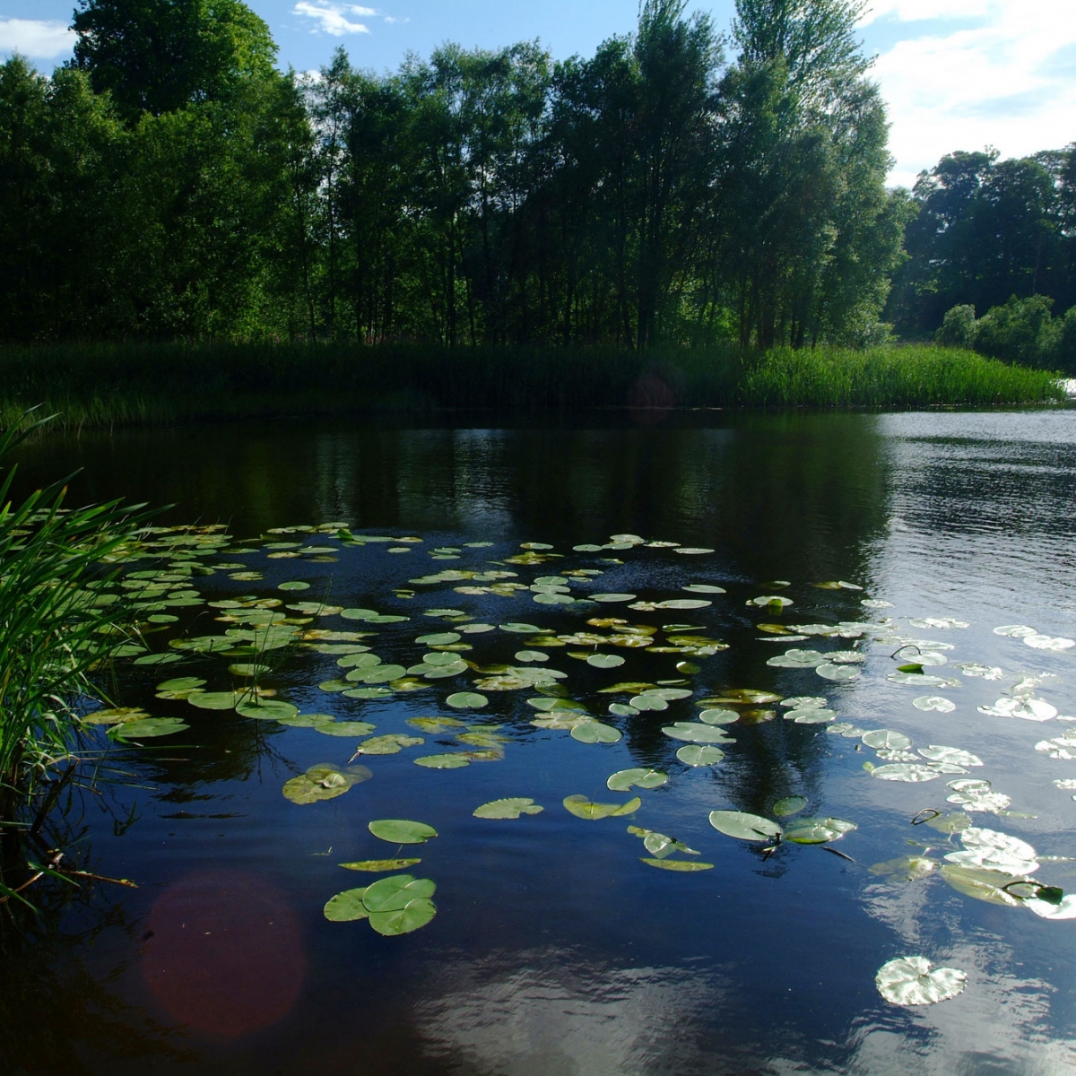 Baronscourt Estate Award Winning Food Producer Rural Business