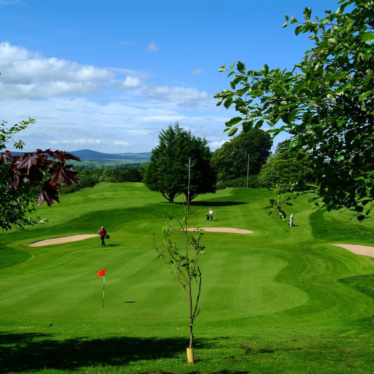 golf golfing newtownstewart course 18 hole