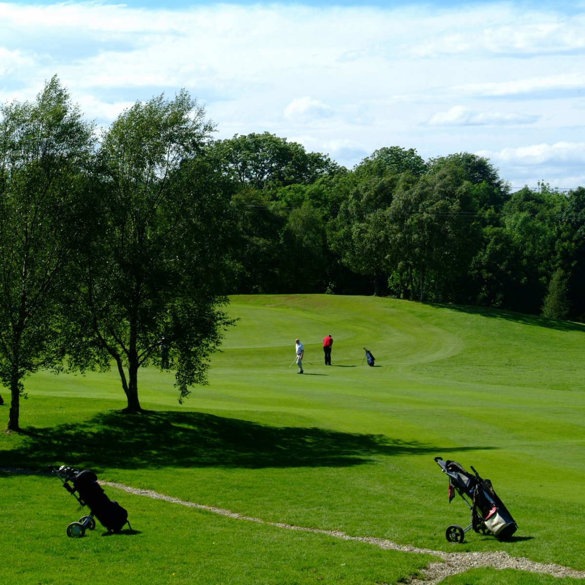 golf golfing newtownstewart course 18 hole