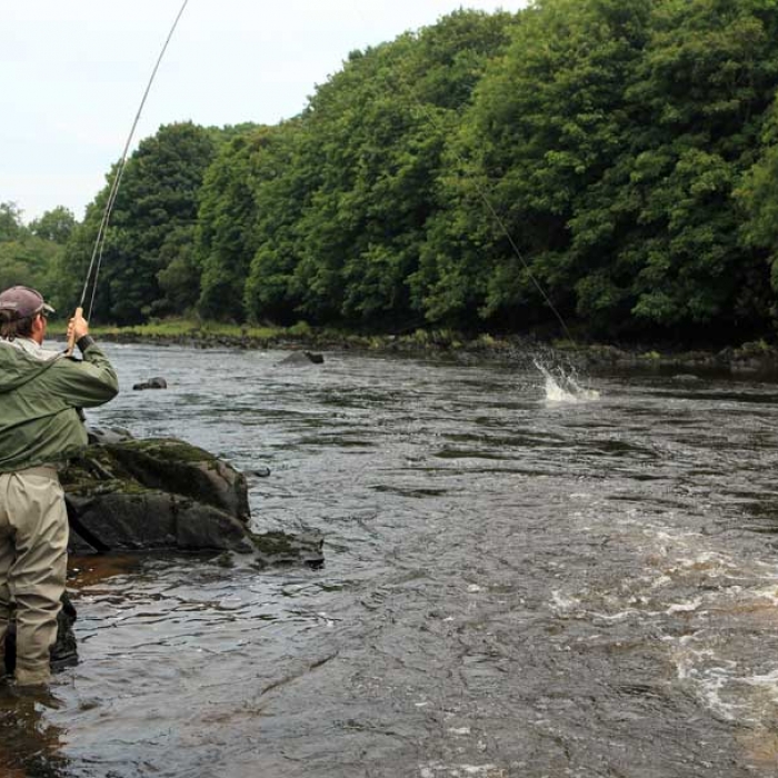 Irish Salmon Fishing River Mourne Foyle