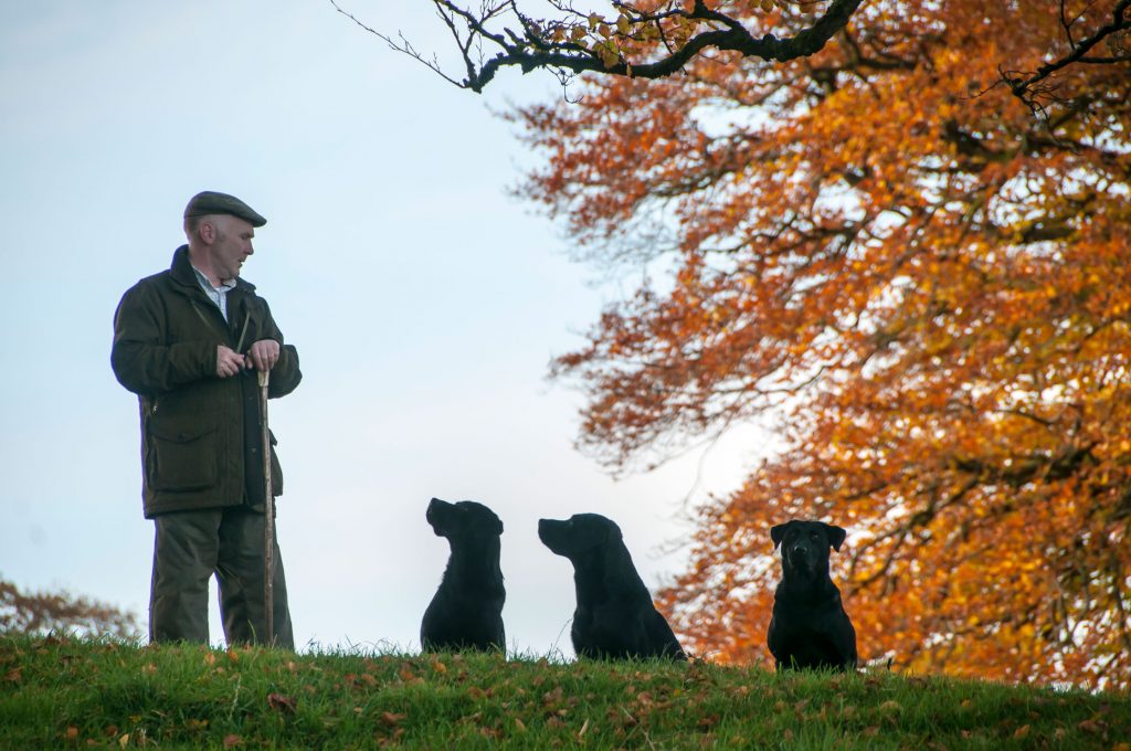 roughshootingnorthernireland04 Baronscourt Estate